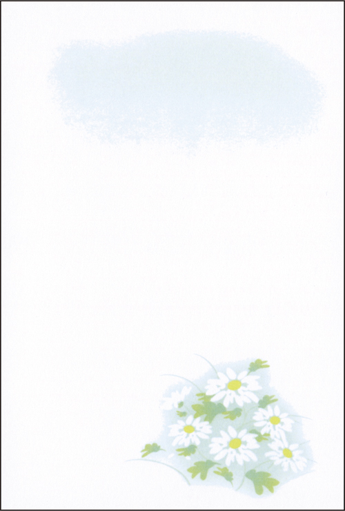 用紙サンプル E 白菊
