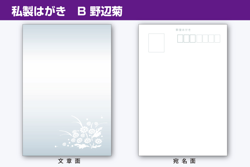用紙サンプル B野辺菊