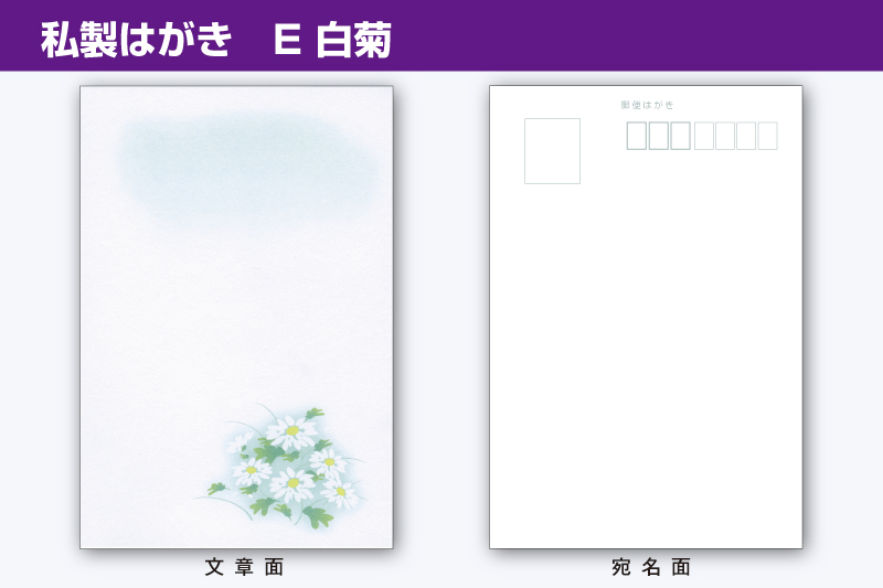 用紙サンプル E 白菊